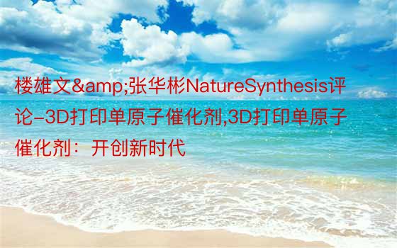 楼雄文&张华彬NatureSynthesis评论-3D打印单原子催化剂，3D打印单原子催化剂：开创新时代