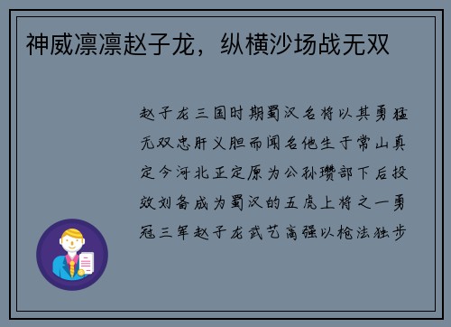 神威凛凛赵子龙，纵横沙场战无双