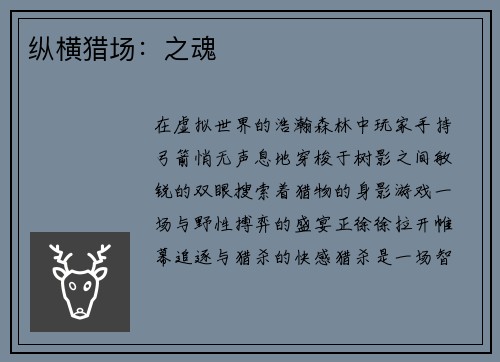 纵横猎场：之魂